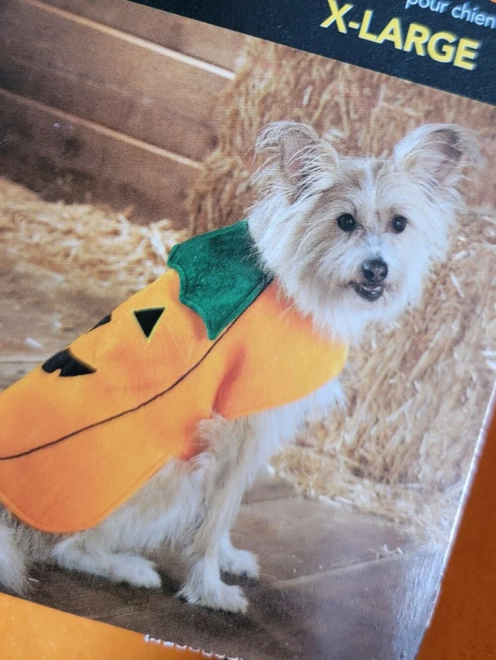 XL Dog Pumpkin Jack-O'-Lantern Costume Halloween